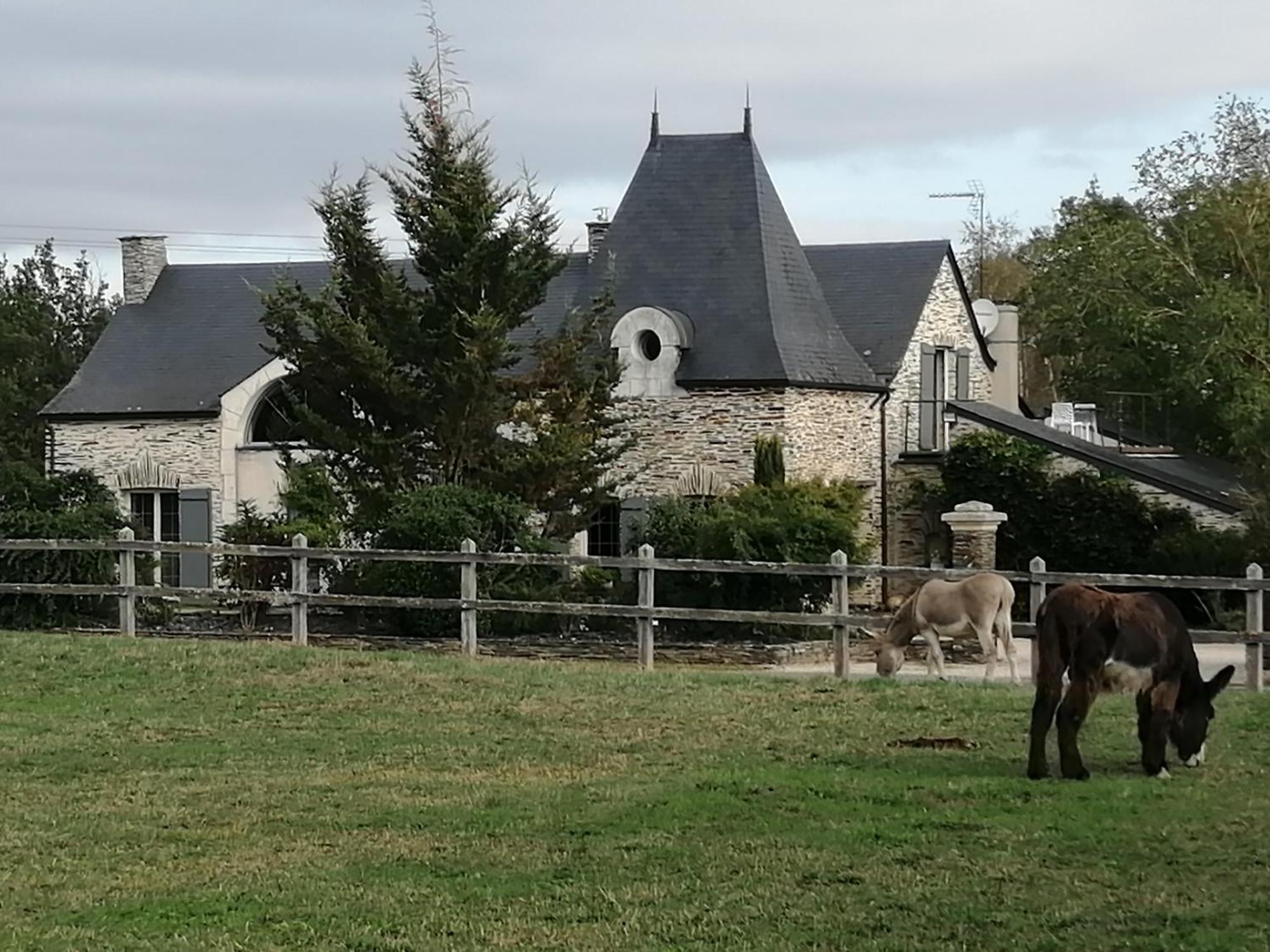 Hotel Gite Belle Fontaine Angrie Esterno foto